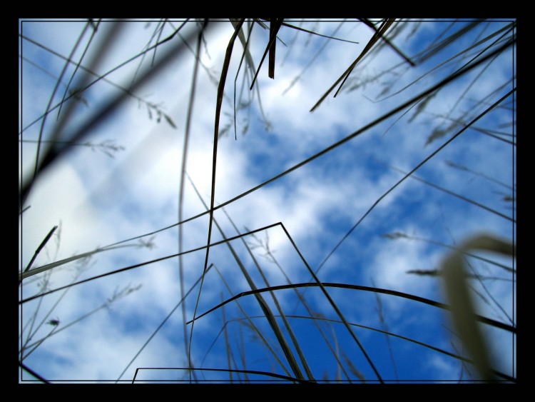 Fonds d'cran Nature Ciel - Nuages Douce rverie