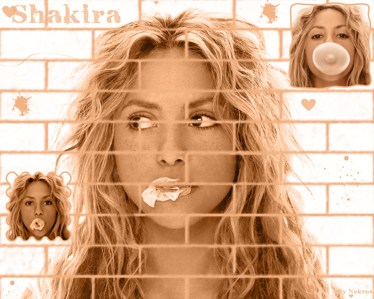 Wallpapers Music Shakira Shakira