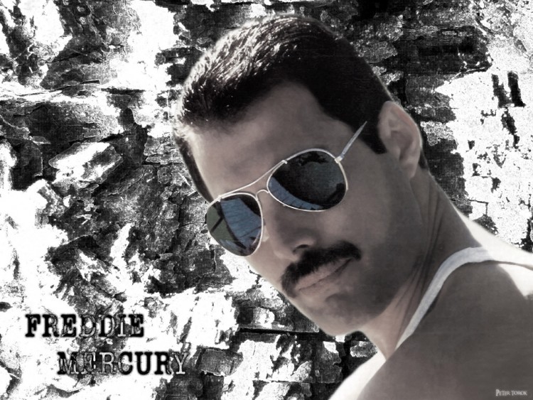 Wallpapers Music Freddie Mercury Freddy the Legend