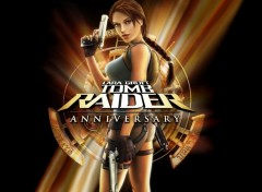 Fonds d'cran Jeux Vido Tomb Raider Anniversary