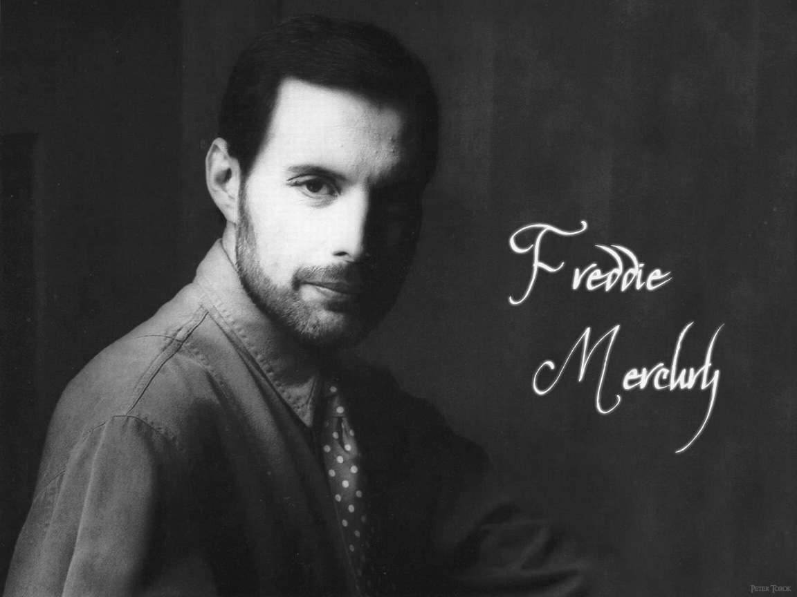 Fonds d'cran Musique Freddie Mercury Freddie Mercury