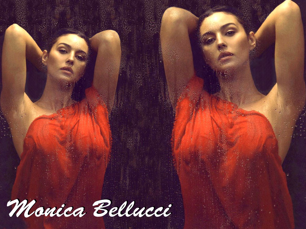 Wallpapers Celebrities Women Monica Bellucci Monica Bellucci