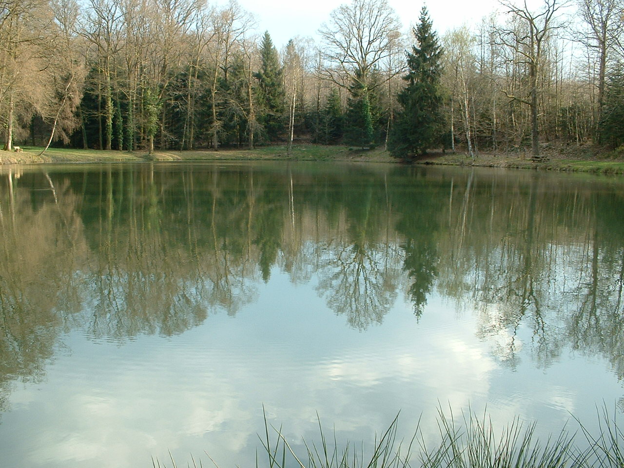 Fonds d'cran Nature Couchers et levers de Soleil ondes