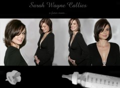 Fonds d'cran Clbrits Femme Sarah Wayne Callies pregnant