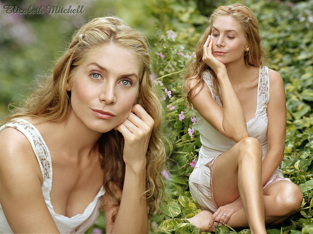 Fonds d'cran Clbrits Femme Elizabeth Mitchell Elizabeth Mitchell