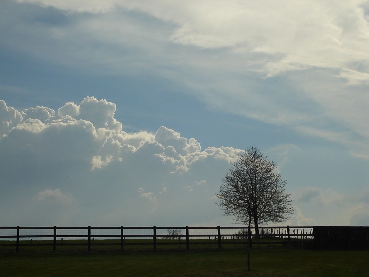 Fonds d'cran Nature Paysages Campagne limousine en avril