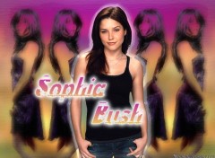 Fonds d'cran Clbrits Femme Sophia Bush