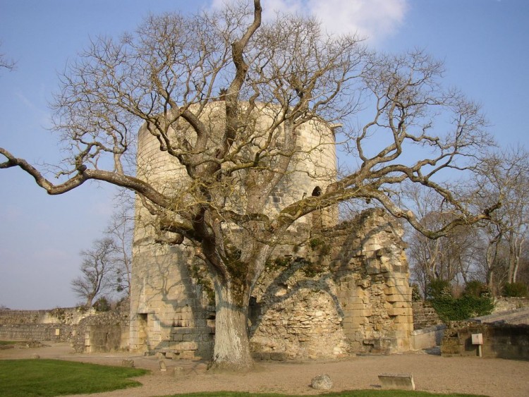 Wallpapers Trips : Europ France > Centre Chateau de Chinon