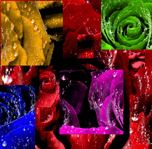 Wallpapers Digital Art Nature - Flowers 