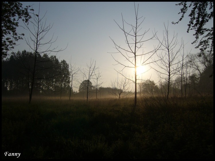 Fonds d'cran Nature Couchers et levers de Soleil Matin Brumeux