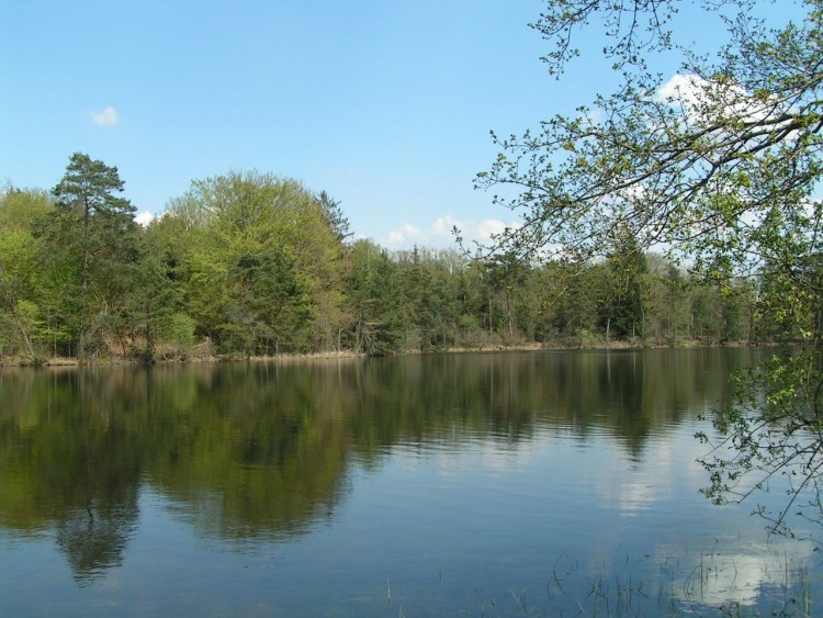 Fonds d'cran Nature Lacs - Etangs Etang de Ruffaud (19)