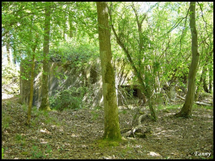 Fonds d'cran Constructions et architecture Ruines - Vestiges Blockhaus