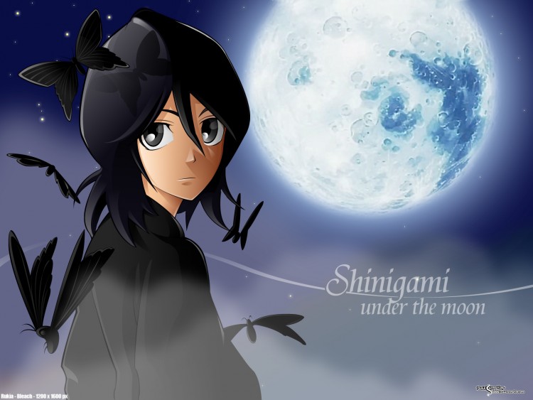 Fonds d'cran Manga Bleach Shinigami under the moon