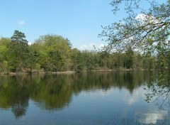 Fonds d'cran Nature Etang de Ruffaud (19)