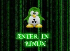 Fonds d'cran Informatique Enter in linux