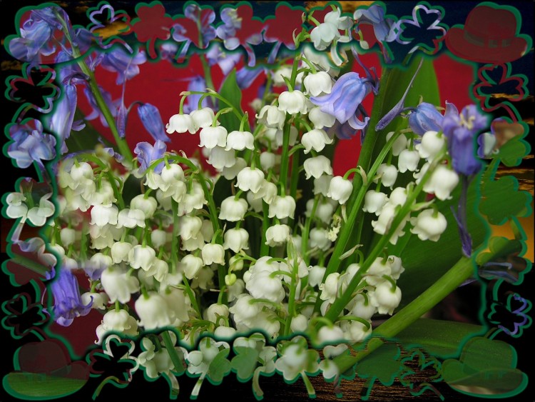 Fonds d'cran Nature Fleurs Pour tous les membres d'Hbus.