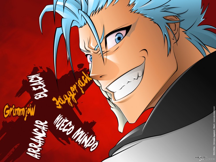 Fonds d'cran Manga Bleach Grimmjoy Jaggerjack