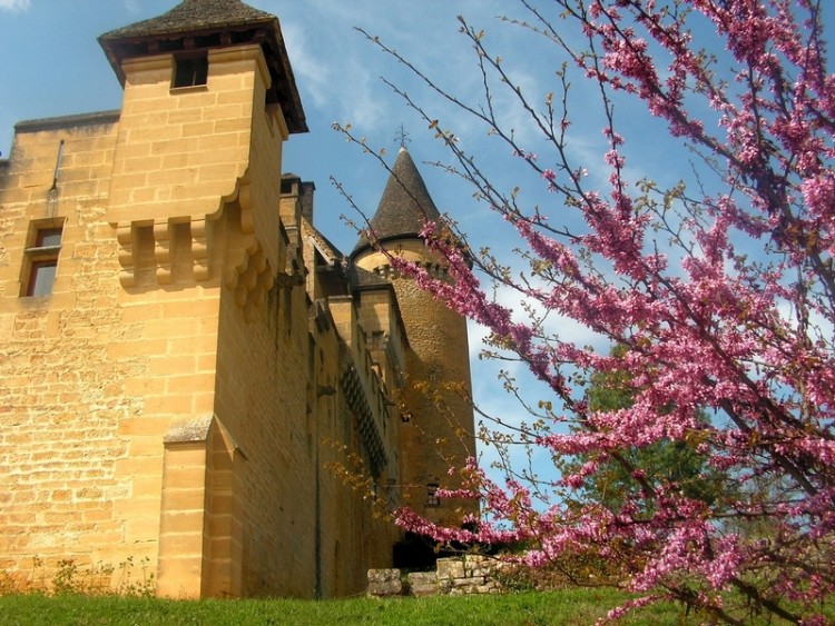 Fonds d'cran Constructions et architecture Chteaux - Palais puymartin