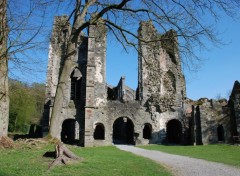 Fonds d'cran Constructions et architecture Abbaye de Villers