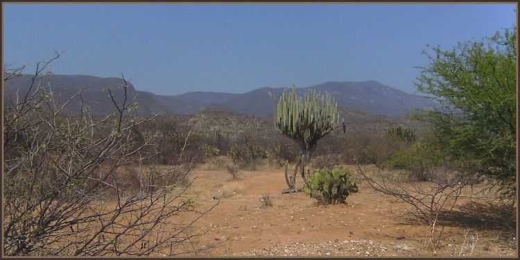 Fonds d'cran Voyages : Amrique du nord Mexique Paysage mexicain