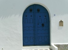 Fonds d'cran Voyages : Afrique belle porte  sidi bou said