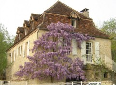 Fonds d'cran Constructions et architecture Maison du LOT,avec Glycine