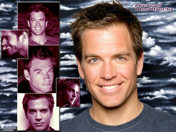 Fonds d'cran Clbrits Homme Michael Weatherly Michael Weatherly