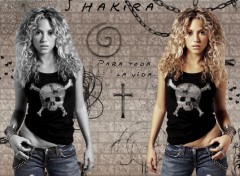 Wallpapers Music shakira