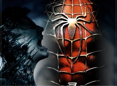 Fonds d'cran Cinma Spiderman 3