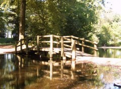 Fonds d'cran Nature Bois de Boulogne  Lille