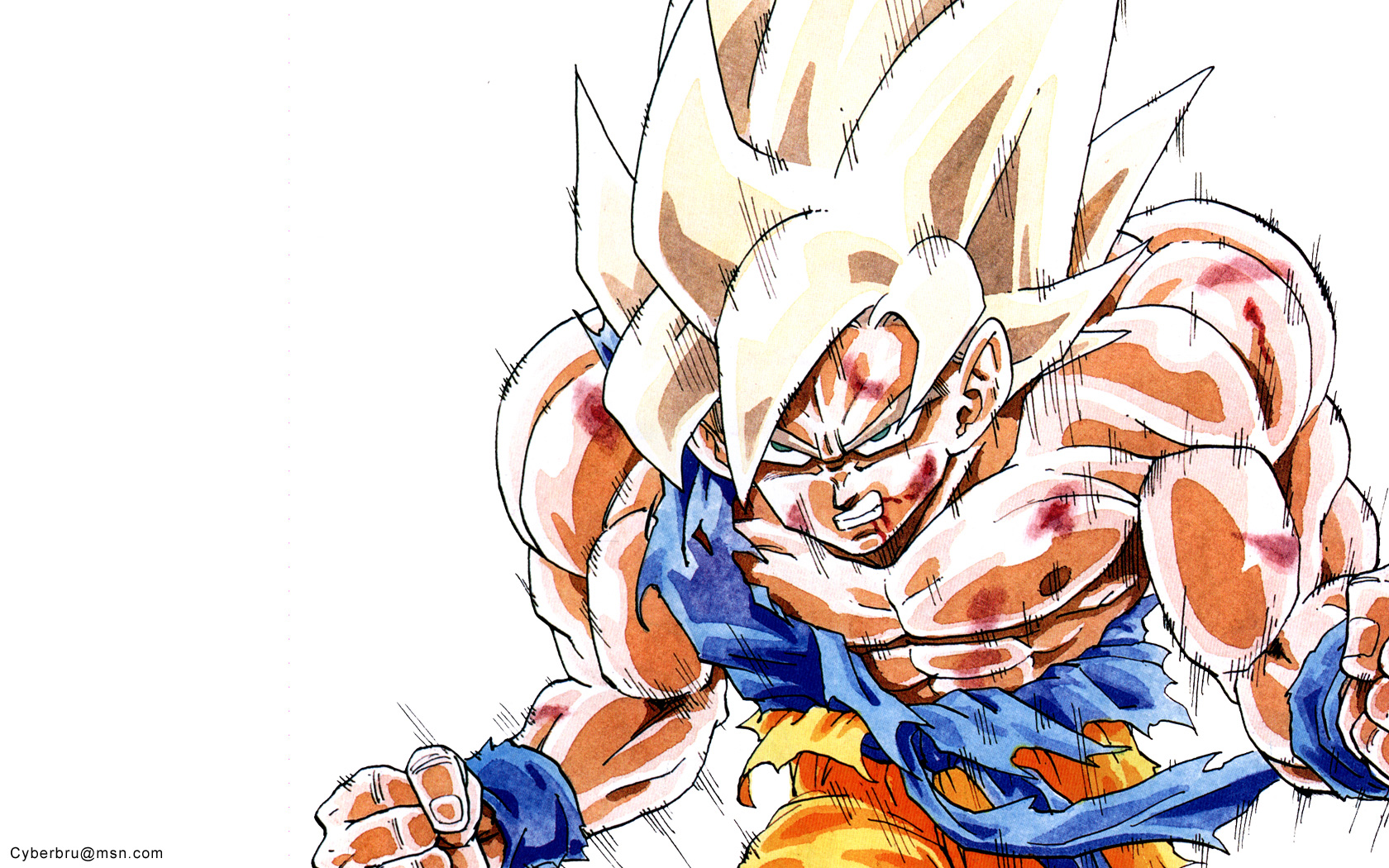 Wallpapers Manga Dragon Ball SanGoku 04