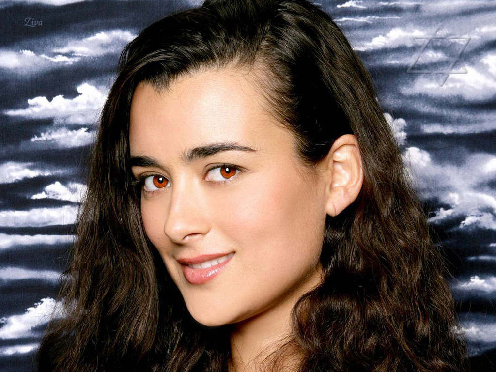 Fonds d'cran Sries TV NCIS : Enqutes Spciales NCIS : Ziva David