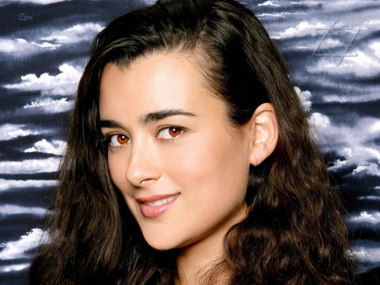 Wallpapers TV Soaps NCIS NCIS : Ziva David