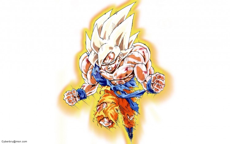 Fonds d'cran Manga Dragon Ball SanGoku 04