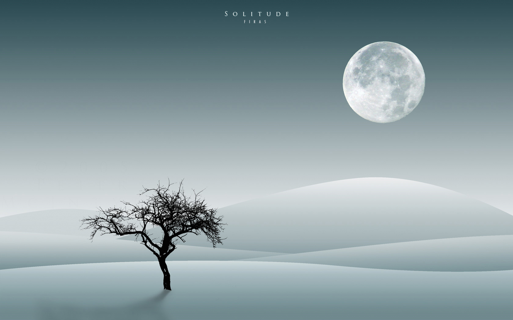 Wallpapers Digital Art Nature - Landscapes Solitude by Firas