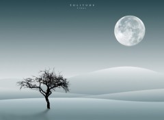 Wallpapers Digital Art Solitude by Firas