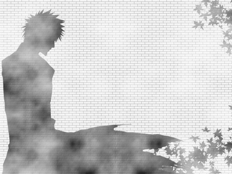 Wallpapers Manga Bleach Ombre