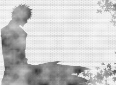 Wallpapers Manga Ombre