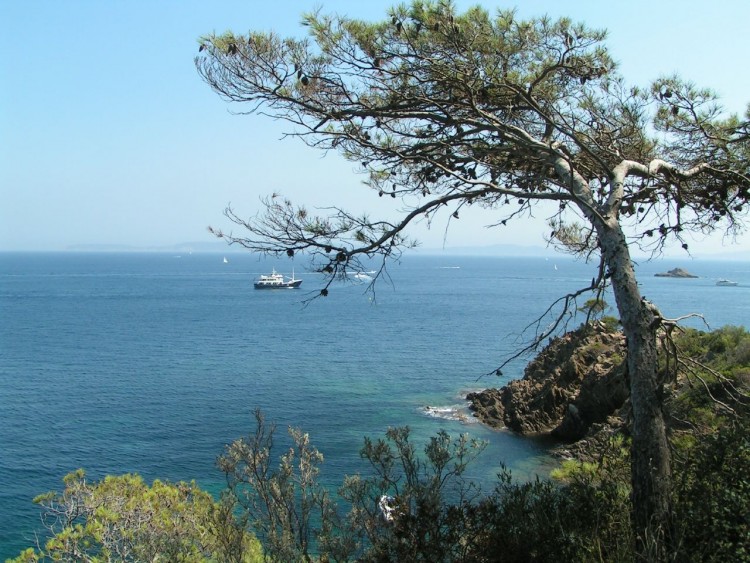 Fonds d'cran Nature Mers - Ocans - Plages Bord de mer dans le Var