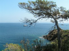 Fonds d'cran Nature Bord de mer dans le Var