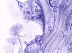 Wallpapers Art - Pencil lynxounet