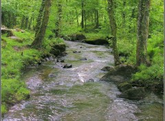 Fonds d'cran Nature Oxygnation