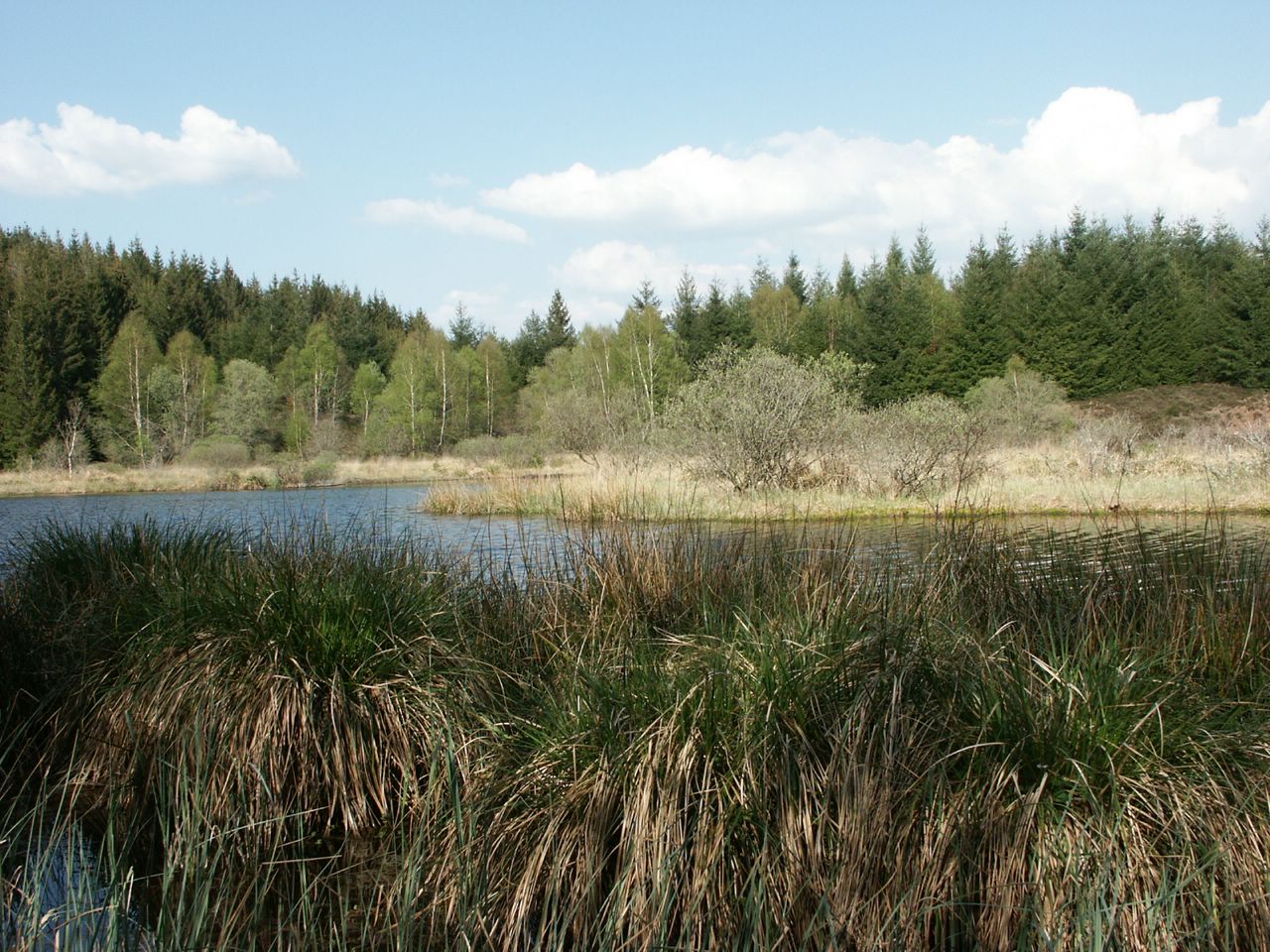 Fonds d'cran Nature Lacs - Etangs Etang sauvage en Corrze