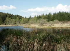 Fonds d'cran Nature Etang sauvage en Corrze