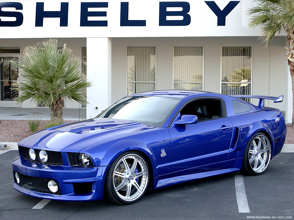 Fonds d'cran Voitures Shelby gt 500