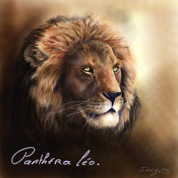 Fonds d'cran Art - Numrique Animaux Panthera leo