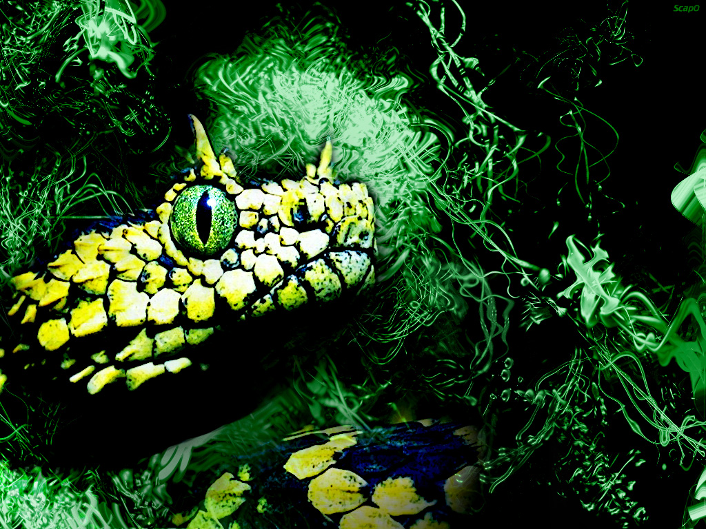 Wallpapers Animals Snakes Serpent