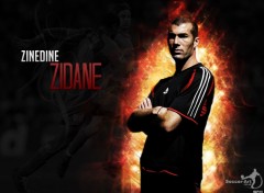 Wallpapers Sports - Leisures Zidane