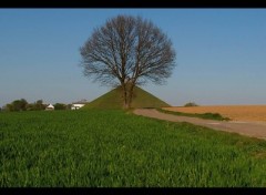 Wallpapers Nature le lion de waterloo