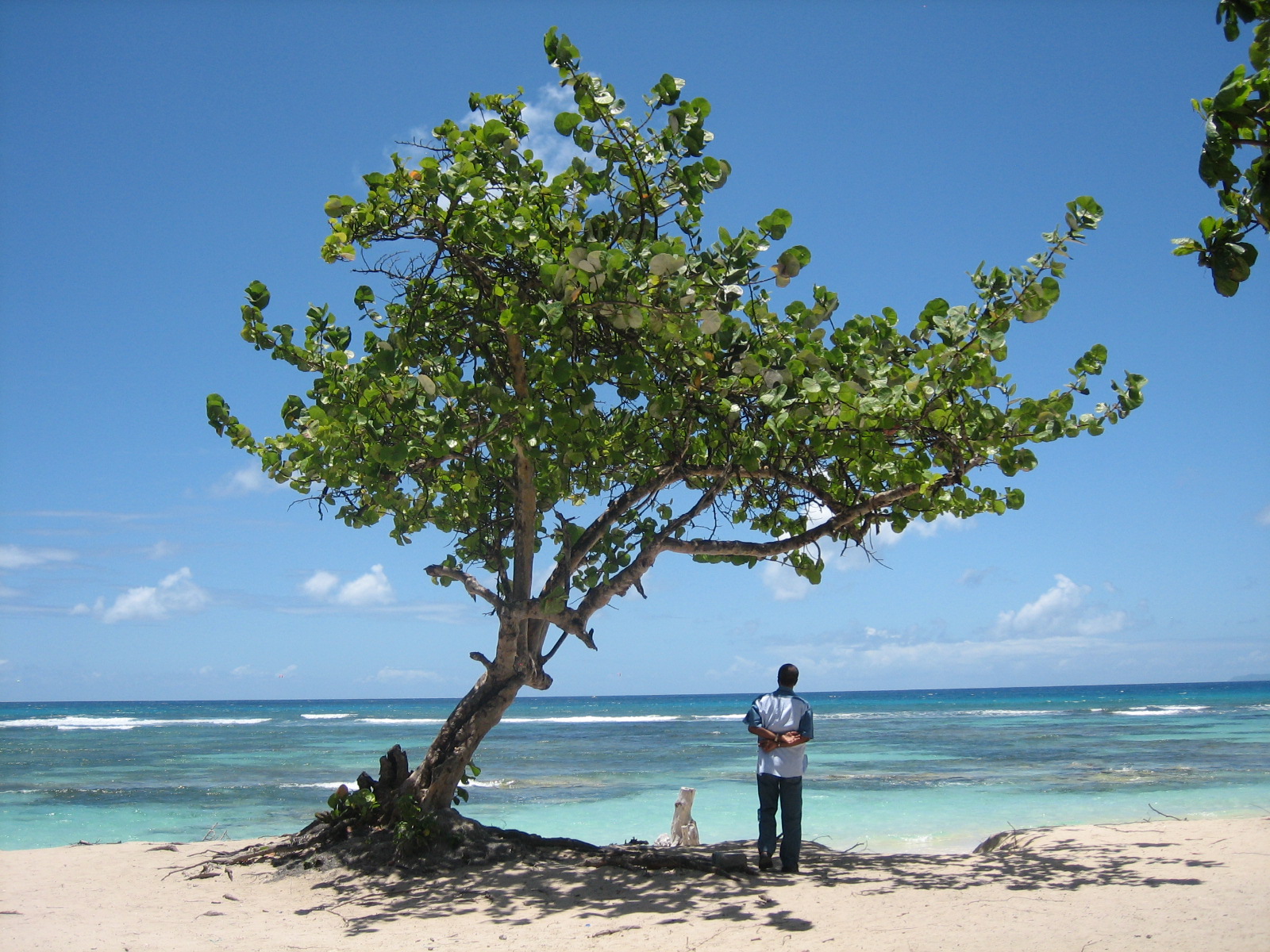 Wallpapers Nature Seas - Oceans - Beaches Guadeloupe